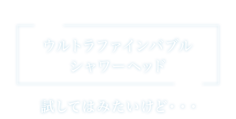 ウルトラファインバブルシャワーヘッド 試してはみたいけど・・・