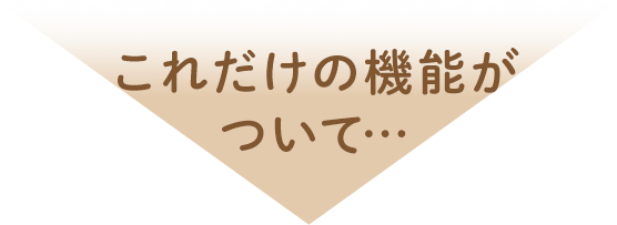 これだけの機能がついて…