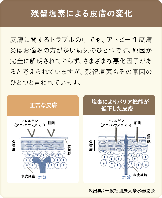 残留塩素による皮膚の変化