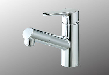 FSL250DET